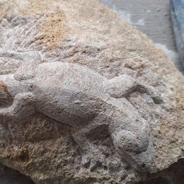 Die Teilnehmenden erlernen Grundlagen der Gestaltung.